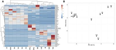 Characterization of Metagenomes in Urban Aquatic Compartments Reveals High Prevalence of Clinically Relevant Antibiotic Resistance Genes in Wastewaters